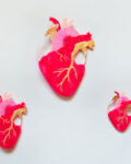 ioana petre all in heart brooch