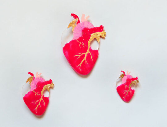 ioana petre all in heart brooch